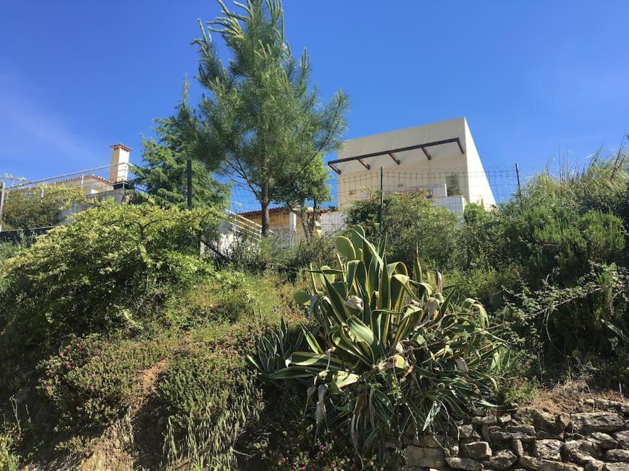 فيلا A Casa Da Lua تومار المظهر الخارجي الصورة